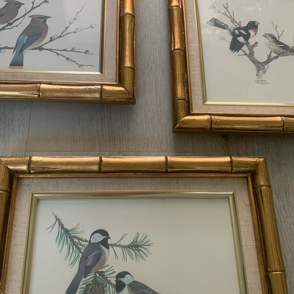 Sherm Pehrson Bird Prints Set of 3 wall art decor‎ bamboo wooden frames gold - Picture 8 of 16
